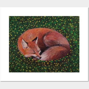 fox sleeping in buttercups Posters and Art